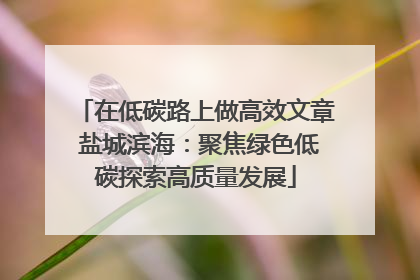 在低碳路上做高效文章 盐城滨海：聚焦绿色低碳探索高质量发展