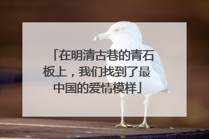 在明清古巷的青石板上，我们找到了最中国的爱情模样