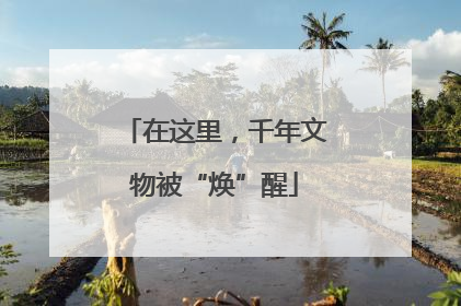 在这里，千年文物被“焕”醒