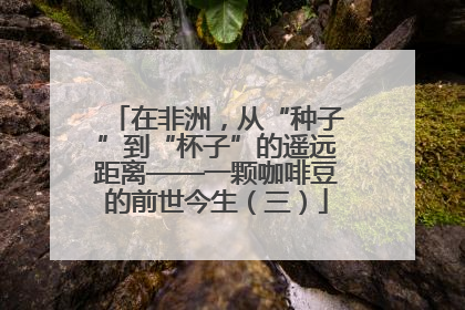 在非洲，从“种子”到“杯子”的遥远距离——一颗咖啡豆的前世今生（三）