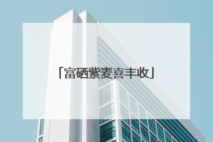 富硒紫麦喜丰收