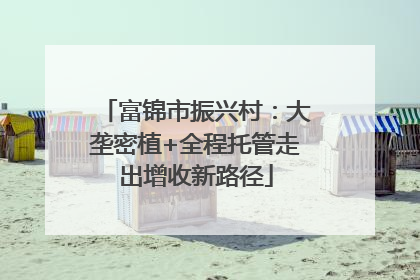 富锦市振兴村：大垄密植+全程托管走出增收新路径