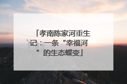 孝南陈家河重生记：一条“幸福河”的生态蝶变