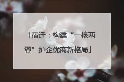 宿迁：构建“一核两翼”护企优商新格局