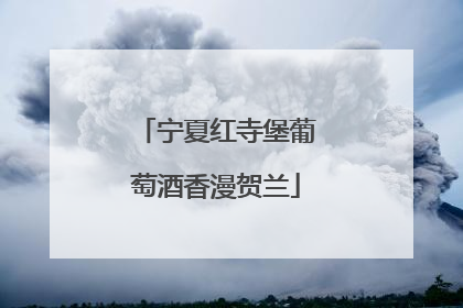 宁夏红寺堡葡萄酒香漫贺兰
