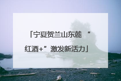 宁夏贺兰山东麓 “红酒+”激发新活力