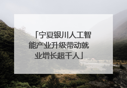 宁夏银川人工智能产业升级带动就业增长超千人