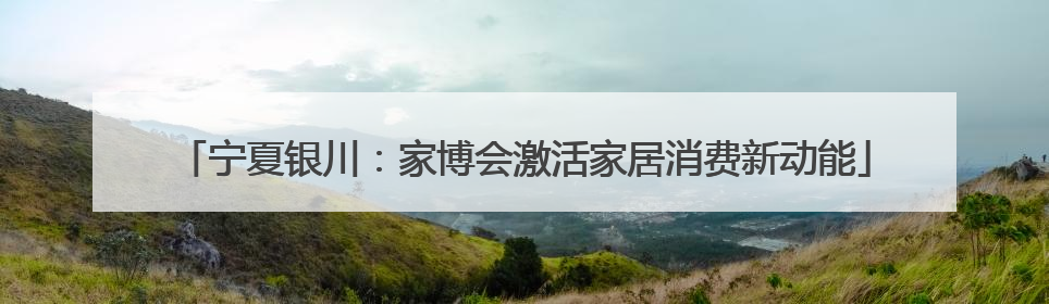 宁夏银川：家博会激活家居消费新动能