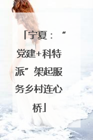 宁夏：“党建+科特派”架起服务乡村连心桥