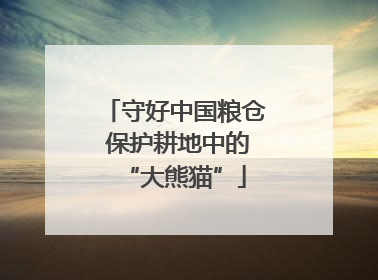 守好中国粮仓 保护耕地中的“大熊猫”
