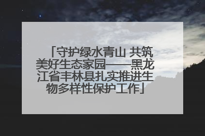 守护绿水青山 共筑美好生态家园——黑龙江省丰林县扎实推进生物多样性保护工作