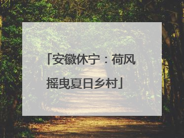 安徽休宁：荷风摇曳夏日乡村