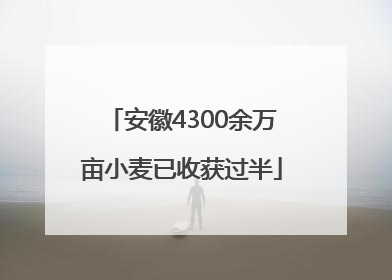安徽4300余万亩小麦已收获过半
