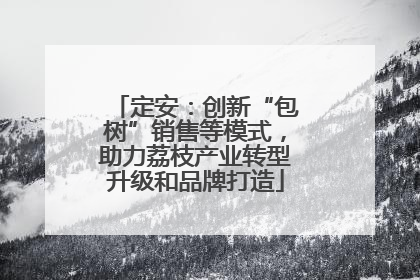 定安：创新“包树”销售等模式，助力荔枝产业转型升级和品牌打造