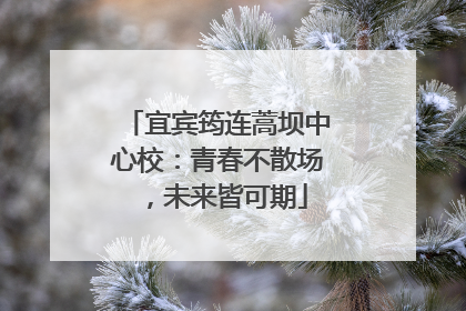 宜宾筠连蒿坝中心校：青春不散场，未来皆可期
