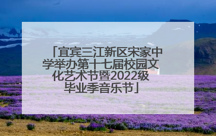 宜宾三江新区宋家中学举办第十七届校园文化艺术节暨2022级毕业季音乐节