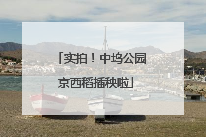 实拍！中坞公园京西稻插秧啦