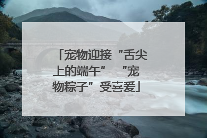 宠物迎接“舌尖上的端午” “宠物粽子”受喜爱