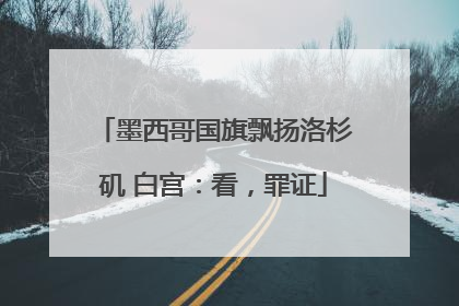 墨西哥国旗飘扬洛杉矶 白宫：看，罪证