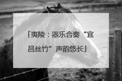 夷陵：器乐合奏“宜昌丝竹”声韵悠长