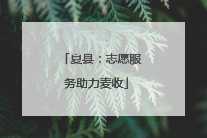 夏县：志愿服务助力麦收