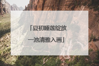 夏初睡莲绽放 一池清雅入画