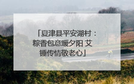 夏津县平安湖村：粽香包意暖夕阳 艾锤传情敬老心