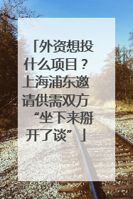 外资想投什么项目？上海浦东邀请供需双方“坐下来掰开了谈”