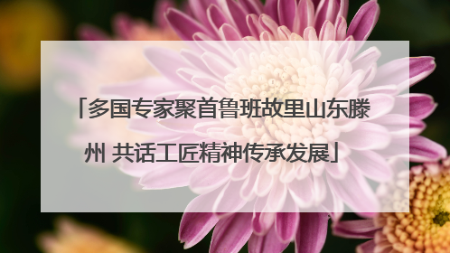 多国专家聚首鲁班故里山东滕州 共话工匠精神传承发展