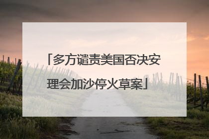 多方谴责美国否决安理会加沙停火草案