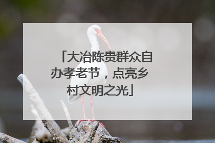 大冶陈贵群众自办孝老节，点亮乡村文明之光