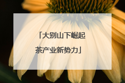 大别山下崛起茶产业新势力