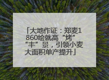 大地作证：郑麦1860绘就高“烤”“丰”景，引领小麦大面积单产提升