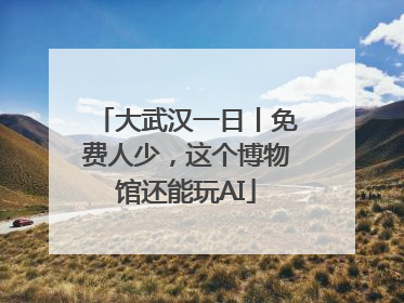 大武汉一日丨免费人少，这个博物馆还能玩AI