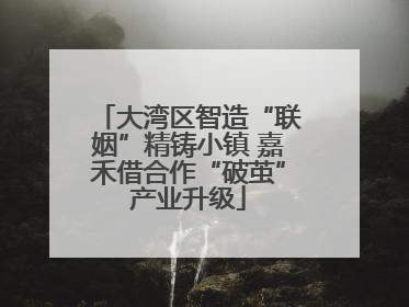 大湾区智造“联姻”精铸小镇 嘉禾借合作“破茧”产业升级