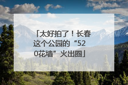 太好拍了！长春这个公园的“520花墙”火出圈
