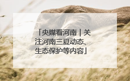 央媒看河南｜关注河南三夏动态、生态保护等内容