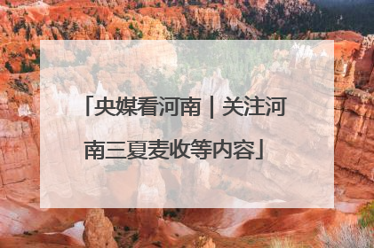 央媒看河南｜关注河南三夏麦收等内容