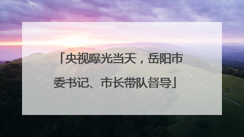 央视曝光当天，岳阳市委书记、市长带队督导