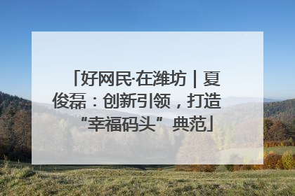 好网民·在潍坊｜夏俊磊：创新引领，打造“幸福码头”典范