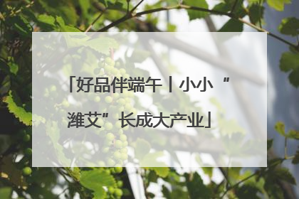 好品伴端午丨小小“潍艾”长成大产业