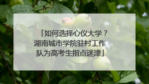 如何选择心仪大学？湖南城市学院驻村工作队为高考生指点迷津