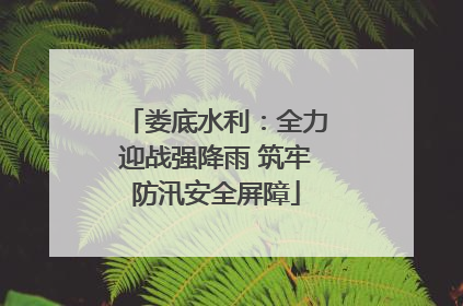 娄底水利：全力迎战强降雨 筑牢防汛安全屏障