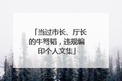 当过市长、厅长的牛弩韬，违规编印个人文集