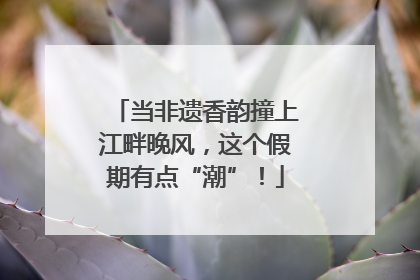 当非遗香韵撞上江畔晚风，这个假期有点“潮”！