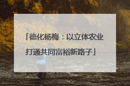 德化杨梅：以立体农业打通共同富裕新路子