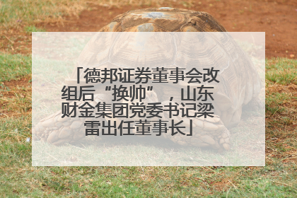 德邦证券董事会改组后“换帅”，山东财金集团党委书记梁雷出任董事长