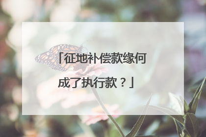 征地补偿款缘何成了执行款？