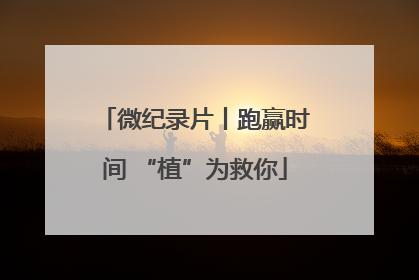微纪录片丨跑赢时间 “植”为救你