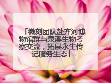 微刻团队赴齐河博物馆群与泉溪生物考察交流，拓展永生传记服务生态